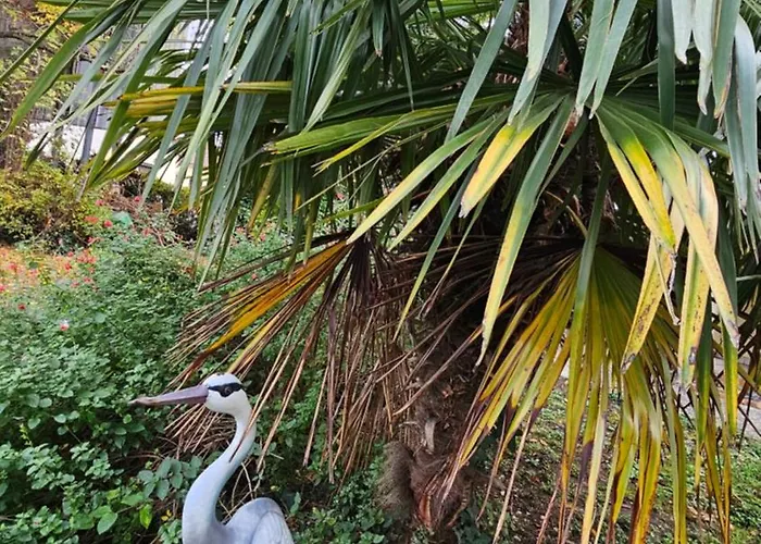 Full House - 20 Mins From Paris